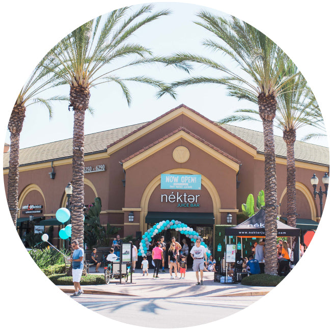 Nekter Juice Bar location with balloons and palm trees