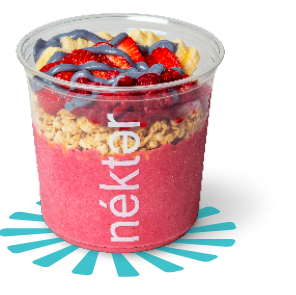 Radient Raspberry Bowl