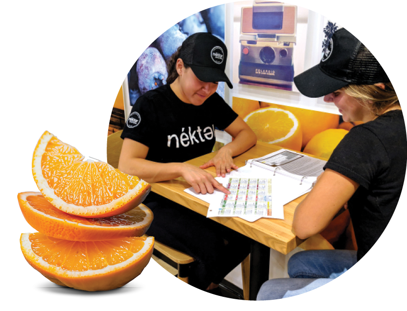 2 nekter employees sitting at a table