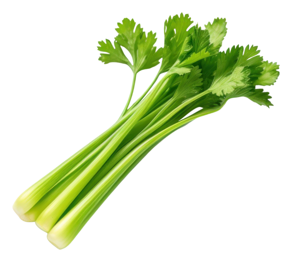 Celery Benefits