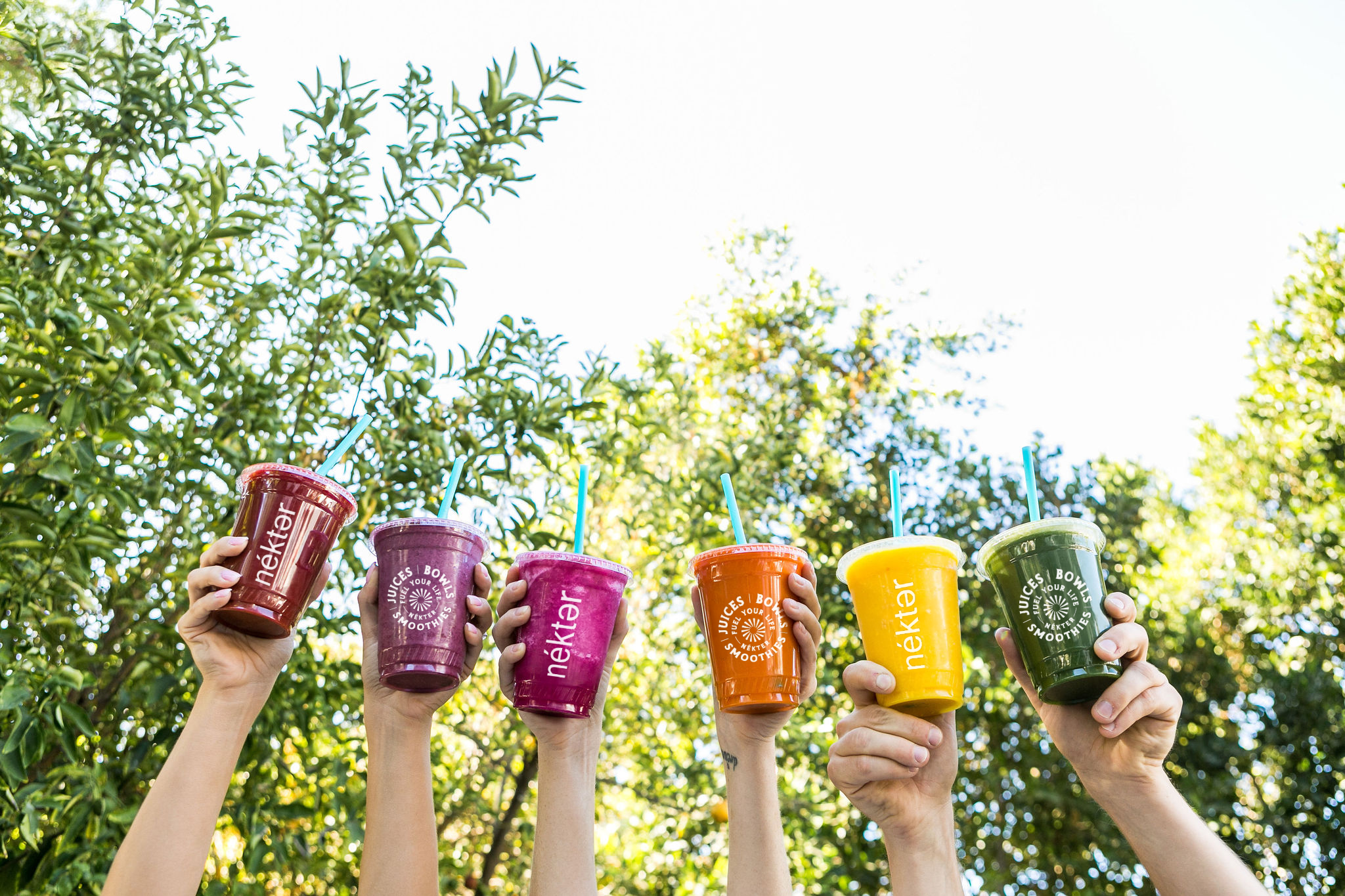 6 nekter cups of various colors and flavors being held up in front of trees and the sky