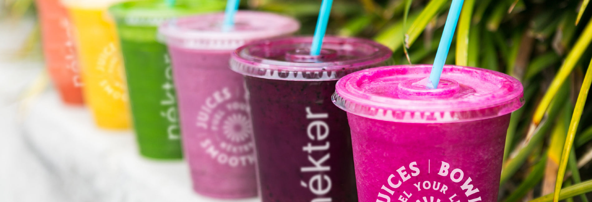 Rainbow of Smoothies